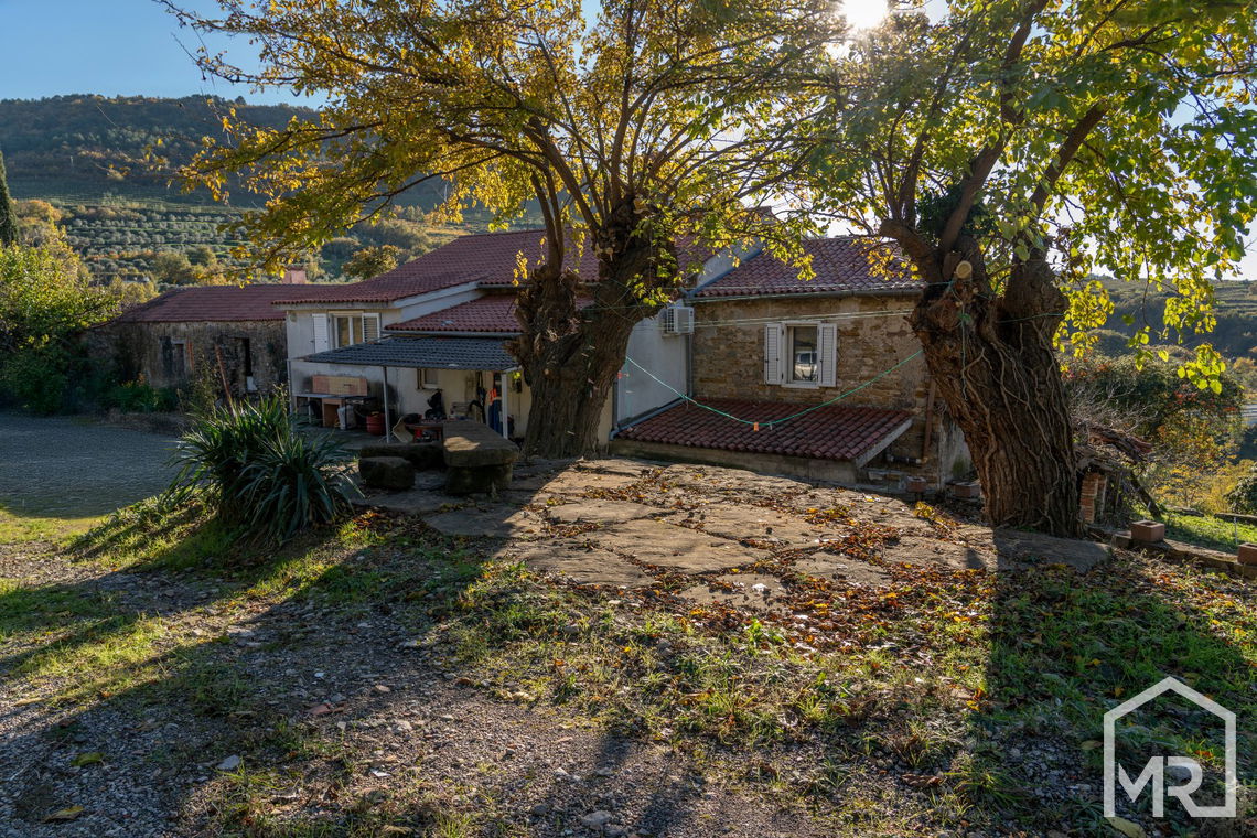 Location: Coastal-Karst, Izola, Izola