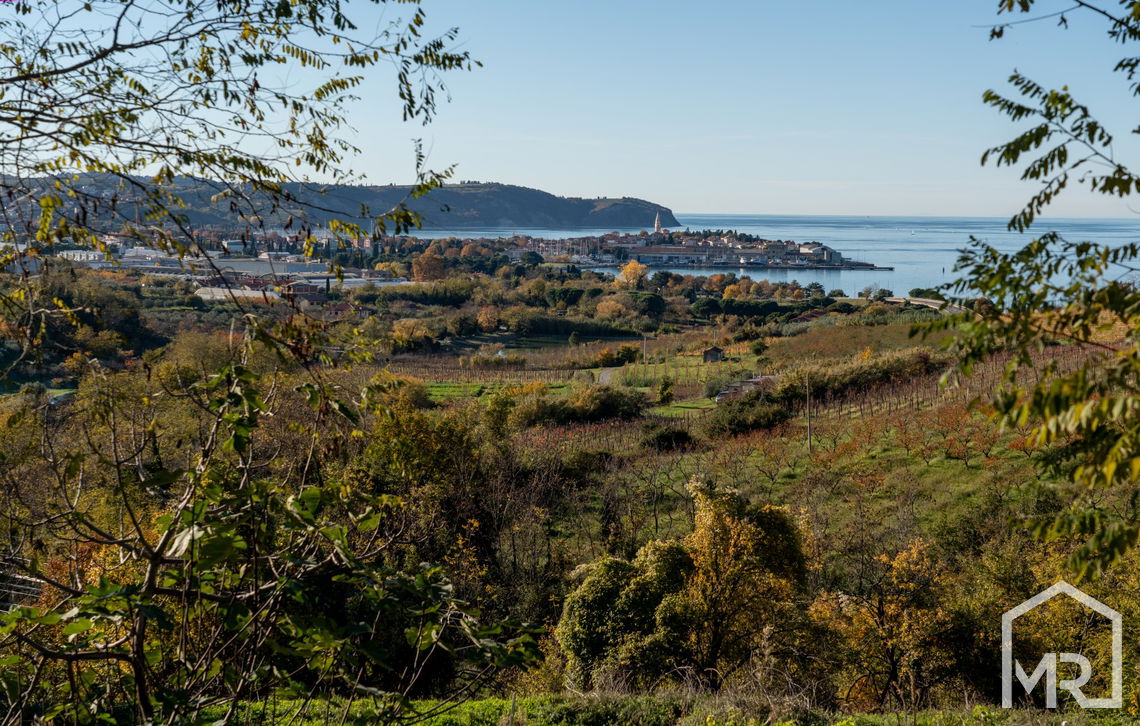 Location: Coastal-Karst, Izola, Izola