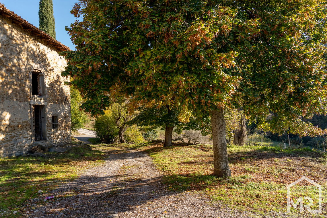 Location: Coastal-Karst, Izola, Izola