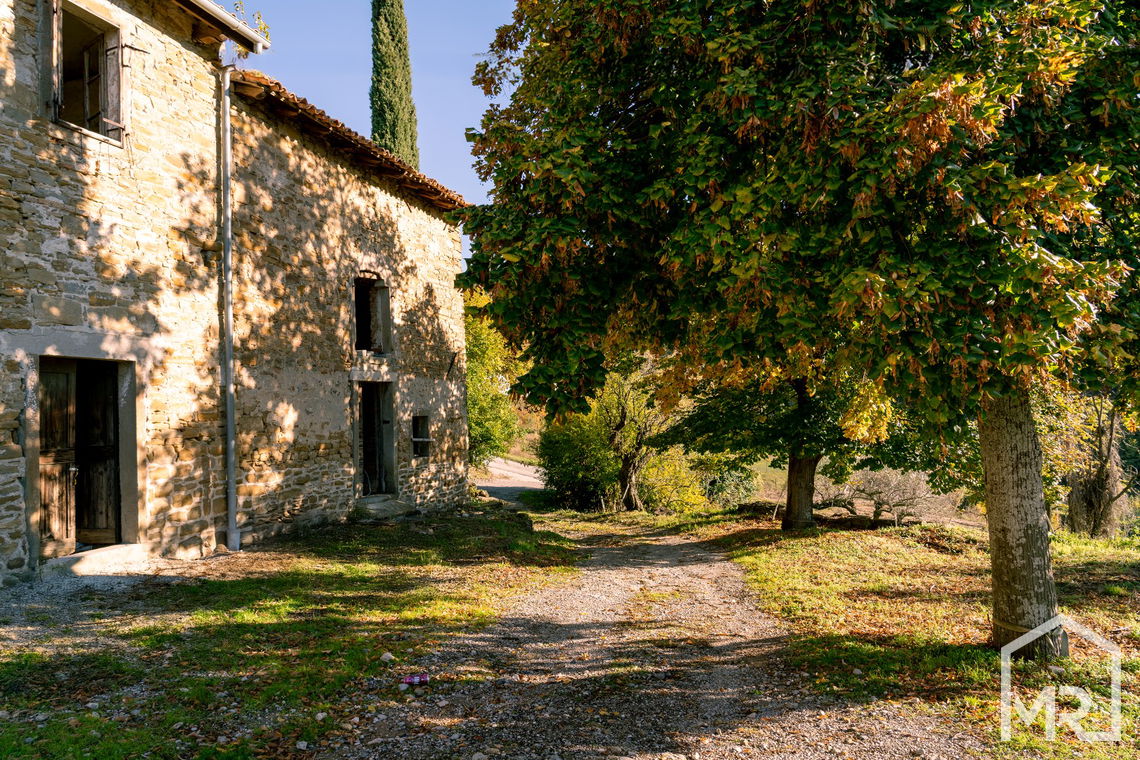 Location: Coastal-Karst, Izola, Izola