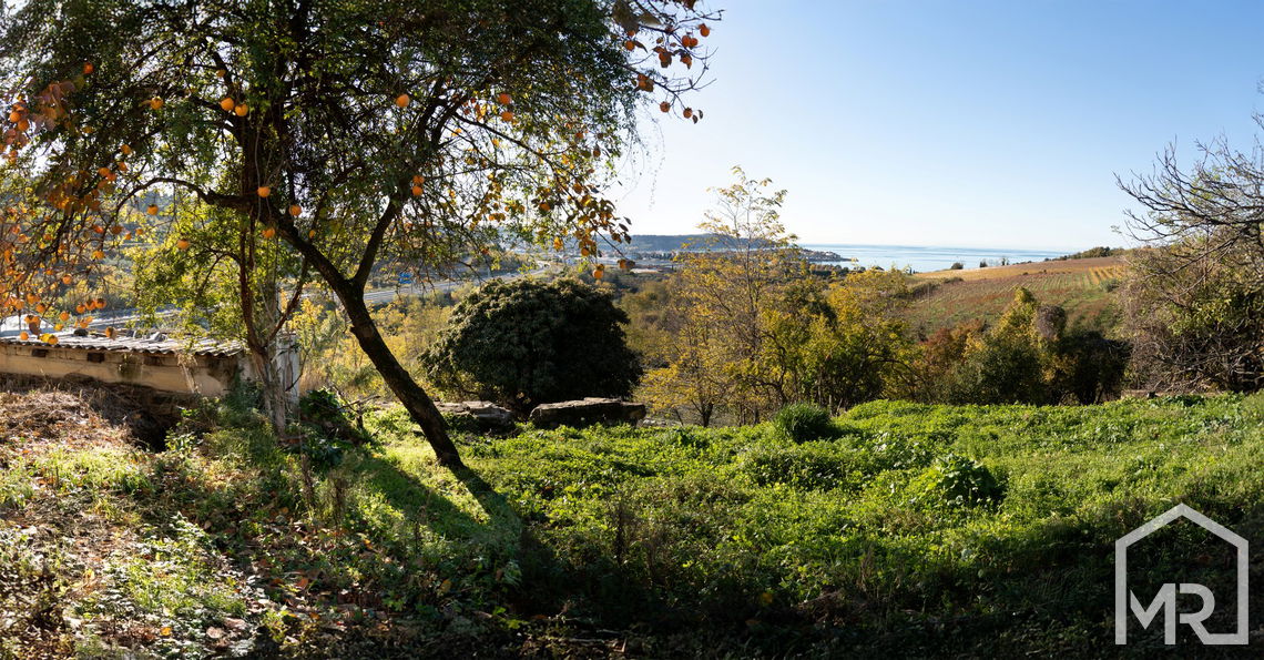 Location: Coastal-Karst, Izola, Izola