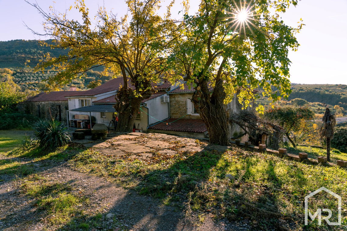 Lokacija: Obalno - kraška, Izola, Izola