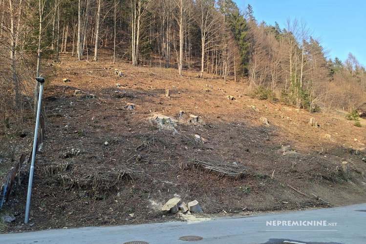Lokacija: Gorenjska, Kranjska Gora, Gozd Martuljek