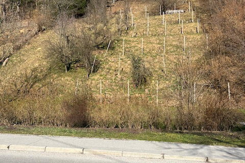 Lokacija: Savinjska, Celje, Pečovnik