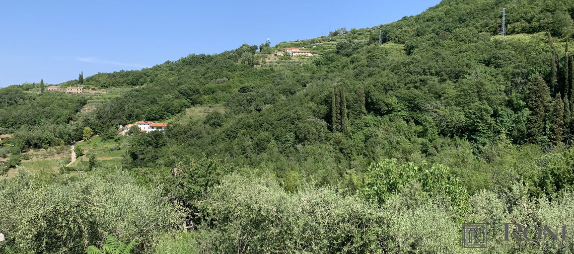 Location: Coastal-Karst, Piran, Strunjan