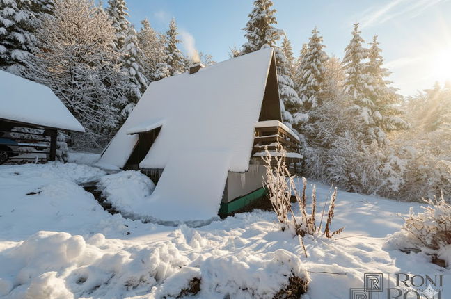 Location: Ljubljana Surroundings, Brezovica, Rakitna