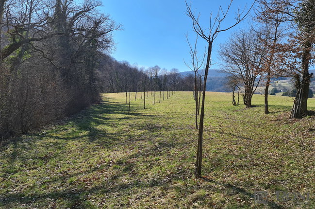 Location: Юго-восточная Словения, Šmarješke Toplice