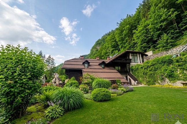 Location: Горенская, Kranjska Gora, Gozd Martuljek