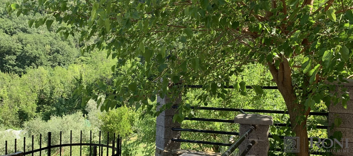 Location: Coastal-Karst, Piran, Strunjan