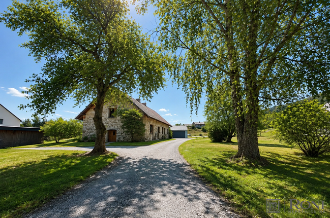 Location: Округа Любляны, Brezovica, Rakitna