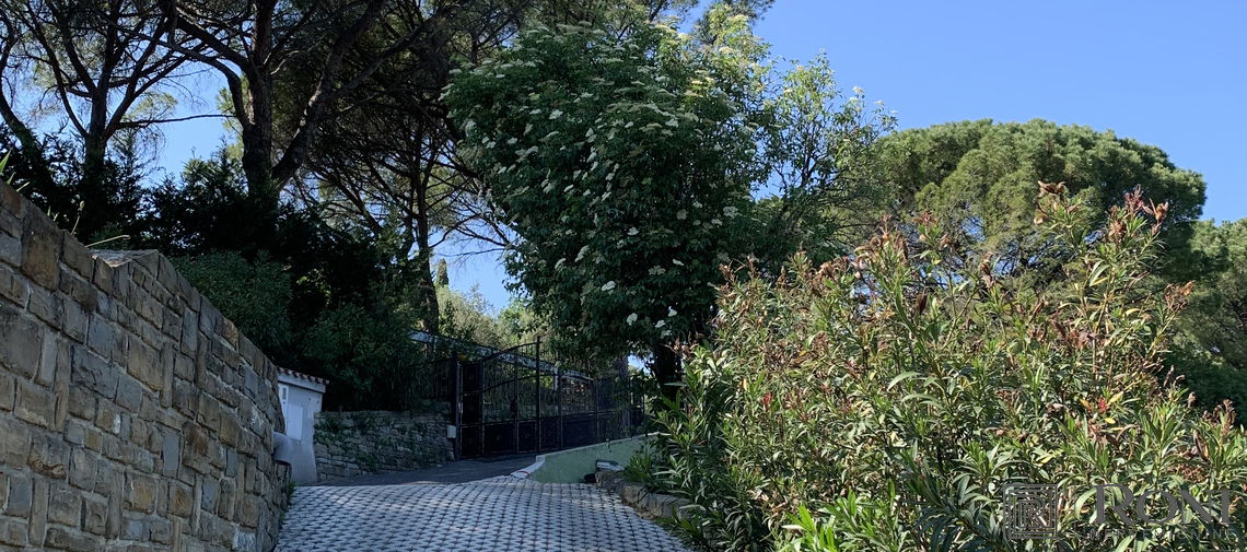 Location: Coastal-Karst, Piran, Strunjan