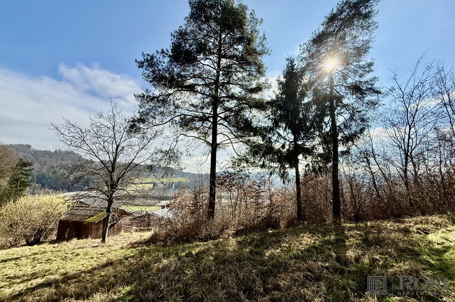 Location: Ljubljana okolica, Lukovica, Lukovica pri Domžalah