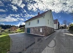 Location: Jugovzhodna Slovenija, Loški Potok, Trava