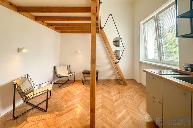Location: Город Любляна, Bežigrad