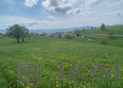 Lokacija: Podravska, Slovenska Bistrica, Kebelj