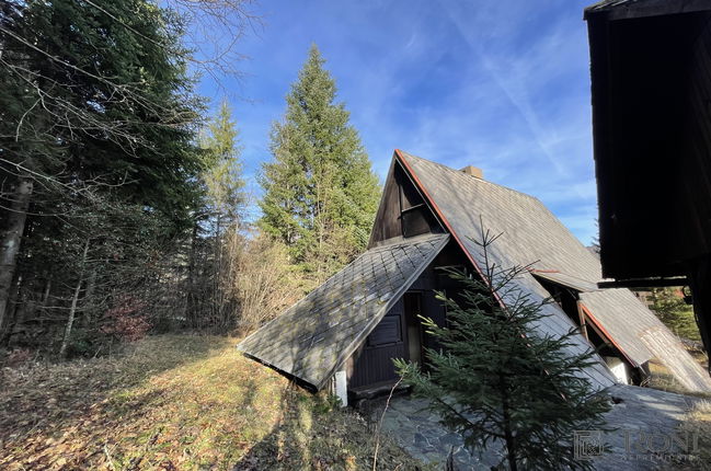 Location: Ljubljana Surroundings, Brezovica, Rakitna