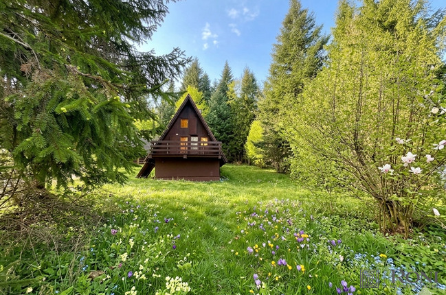 Location: Ljubljana okolica, Brezovica, Rakitna