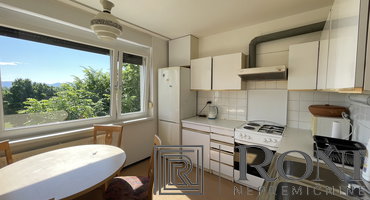 Location: Ljubljana mesto, Moste-Polje, Štepanja vas