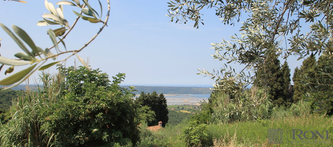 Location: Coastal-Karst, Izola, Malija