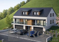 Lokacija: Ljubljana okolica, Borovnica, Borovnica