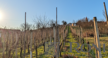 Location: Jugovzhodna Slovenija, Šentjernej, Orehovica