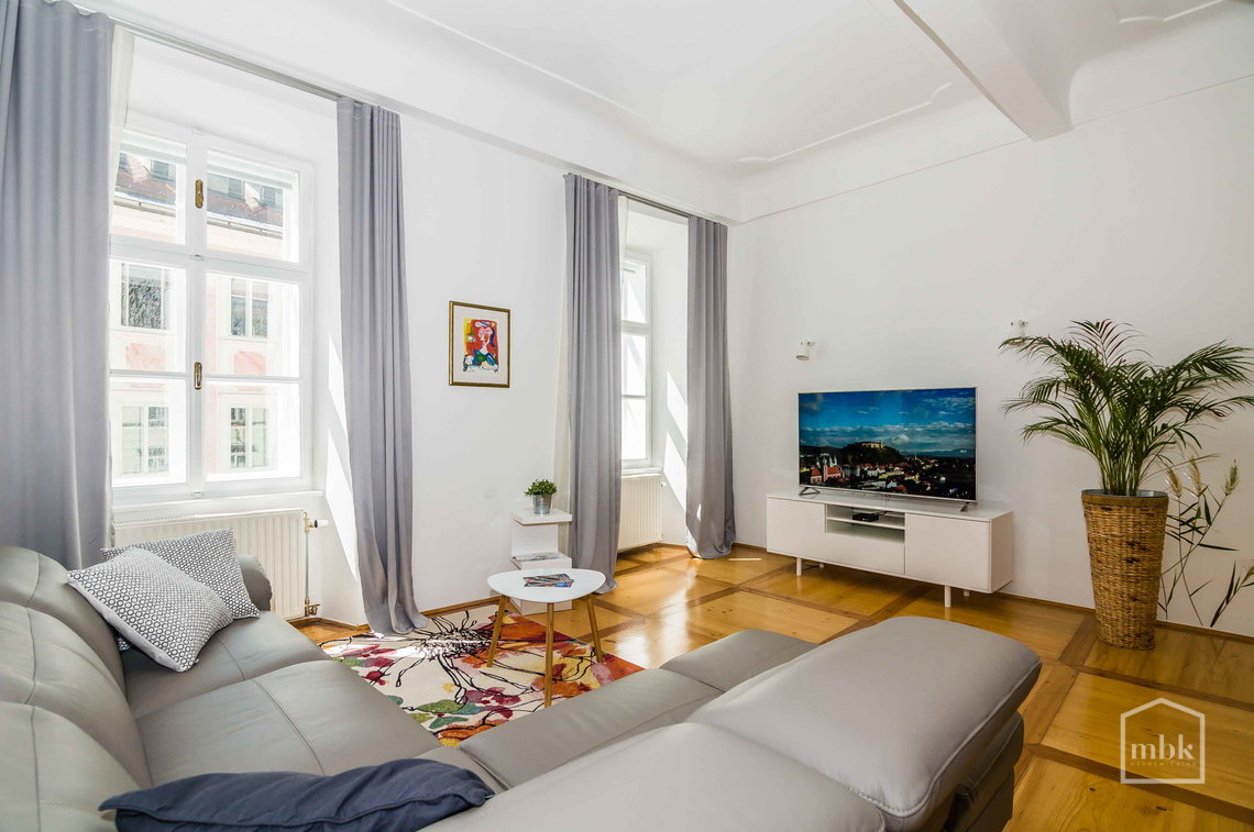 Location: Ljubljana mesto, Center, Center