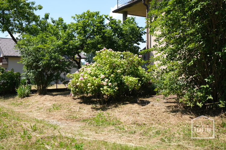 Location: Ljubljana, Moste-Polje, Polje