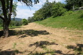 Lokacija: Ljubljana mesto, Moste-Polje, Polje
