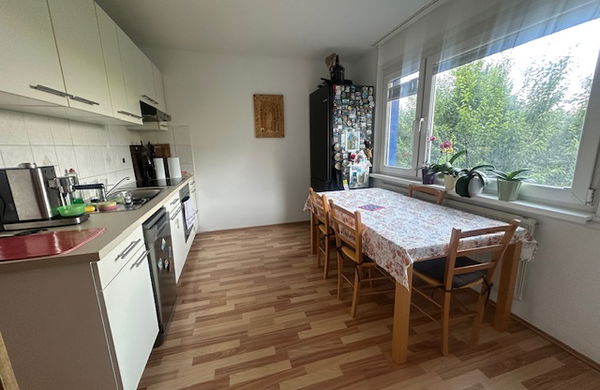 Lokacija: Ljubljana mesto, Moste-Polje, Fužine