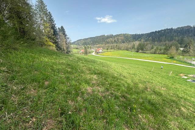 Location: Ljubljana okolica, Velike Lašče