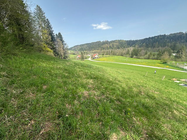 Lokacija: Ljubljana okolica, Velike Lašče