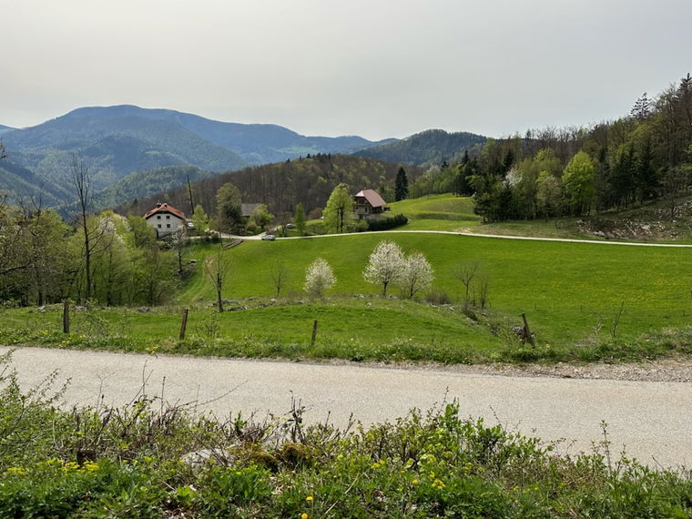 Lokacija: Savinjska, Vransko, Jeronim