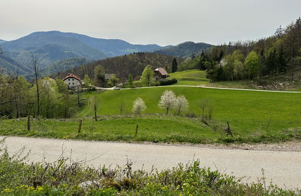Lokacija: Savinjska, Vransko, Jeronim