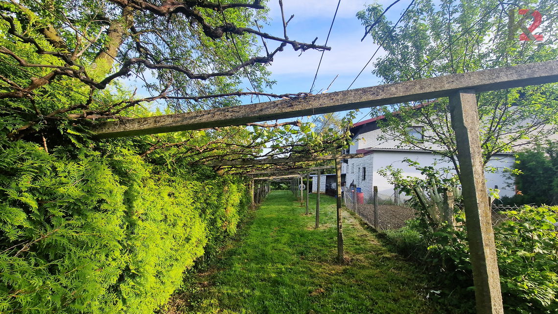 Lokacija: Podravska, Slovenska Bistrica, Križni Vrh