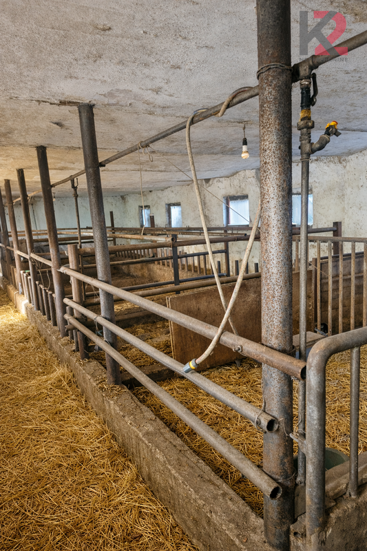 Location: Podravska, Miklavž na Dravskem polju, Dobrovce