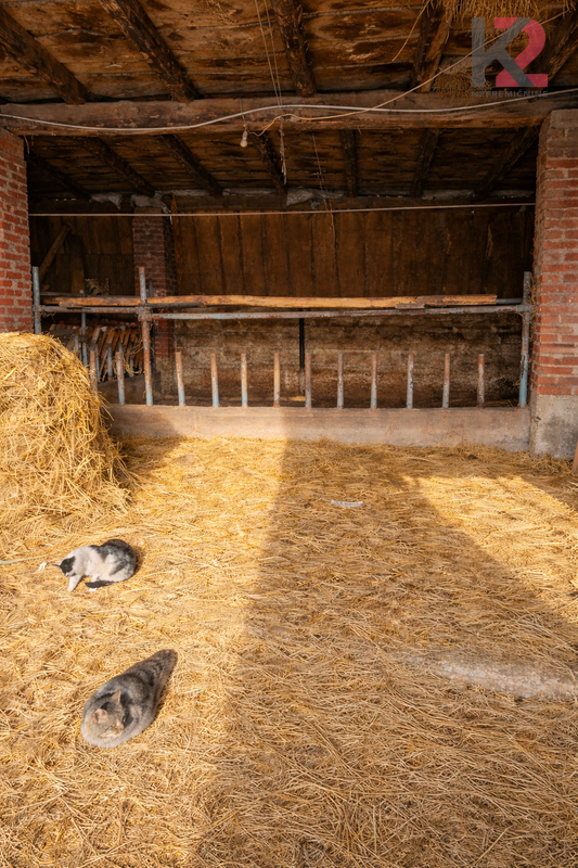 Location: Podravska, Miklavž na Dravskem polju, Dobrovce