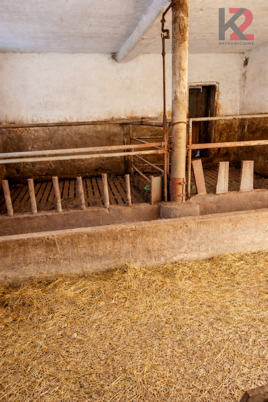 Location: Podravska, Miklavž na Dravskem polju, Dobrovce