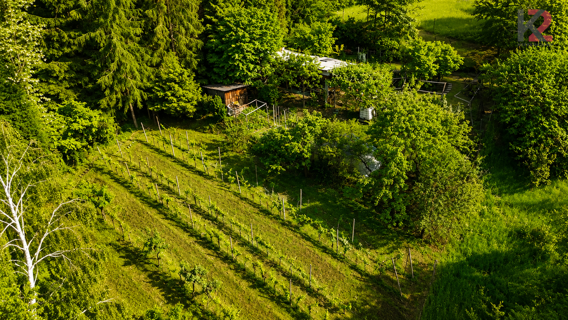 Location: Podravska, Makole, Varoš