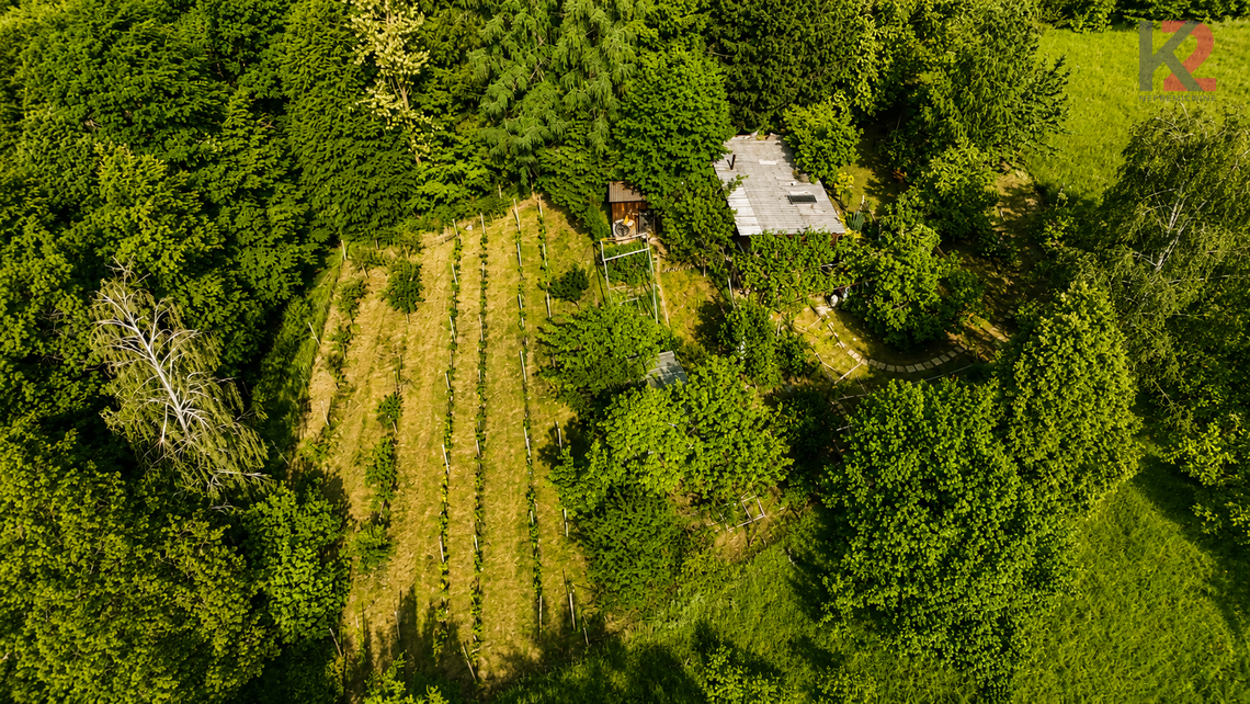 Location: Podravska, Makole, Varoš