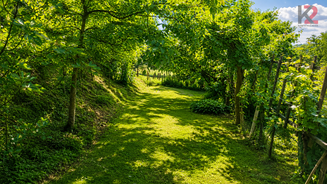 Location: Podravska, Makole, Varoš