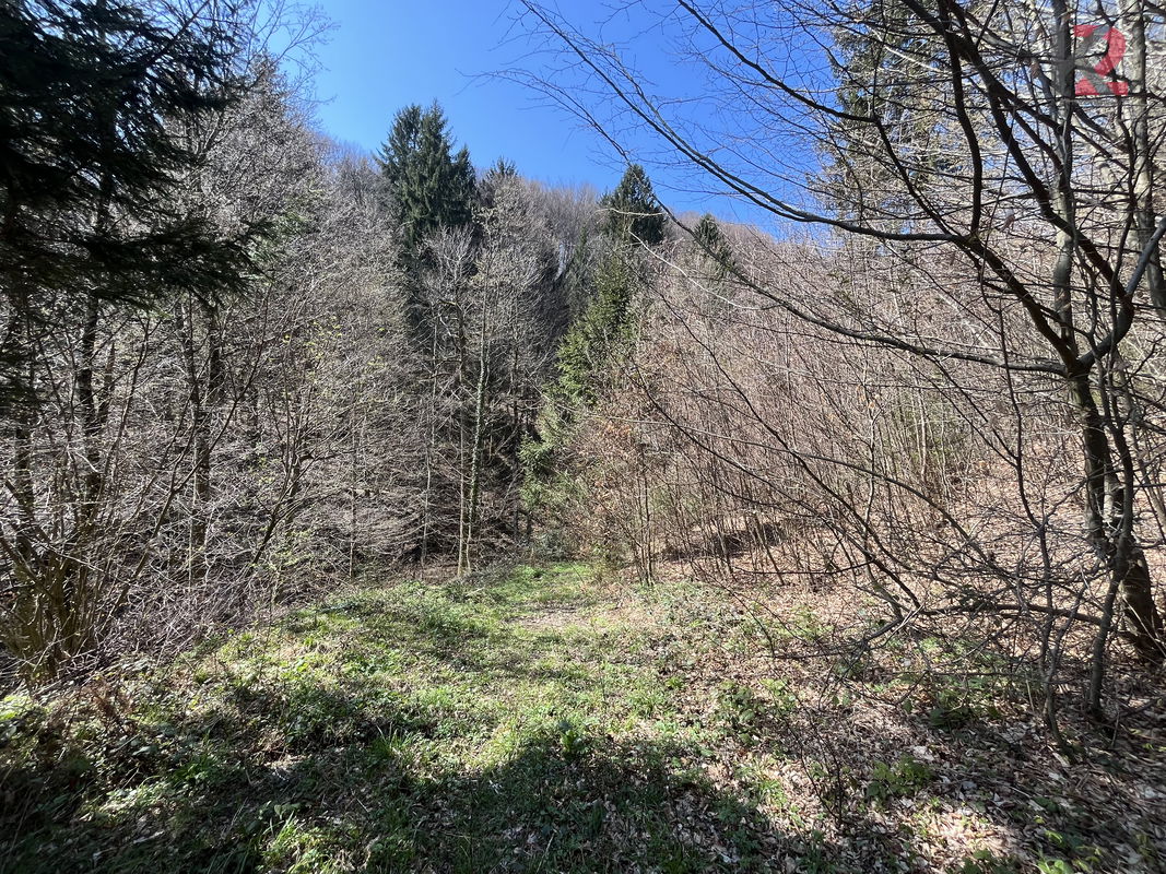 Lokacija: Podravska, Hoče - Slivnica, Slivniško pohorje
