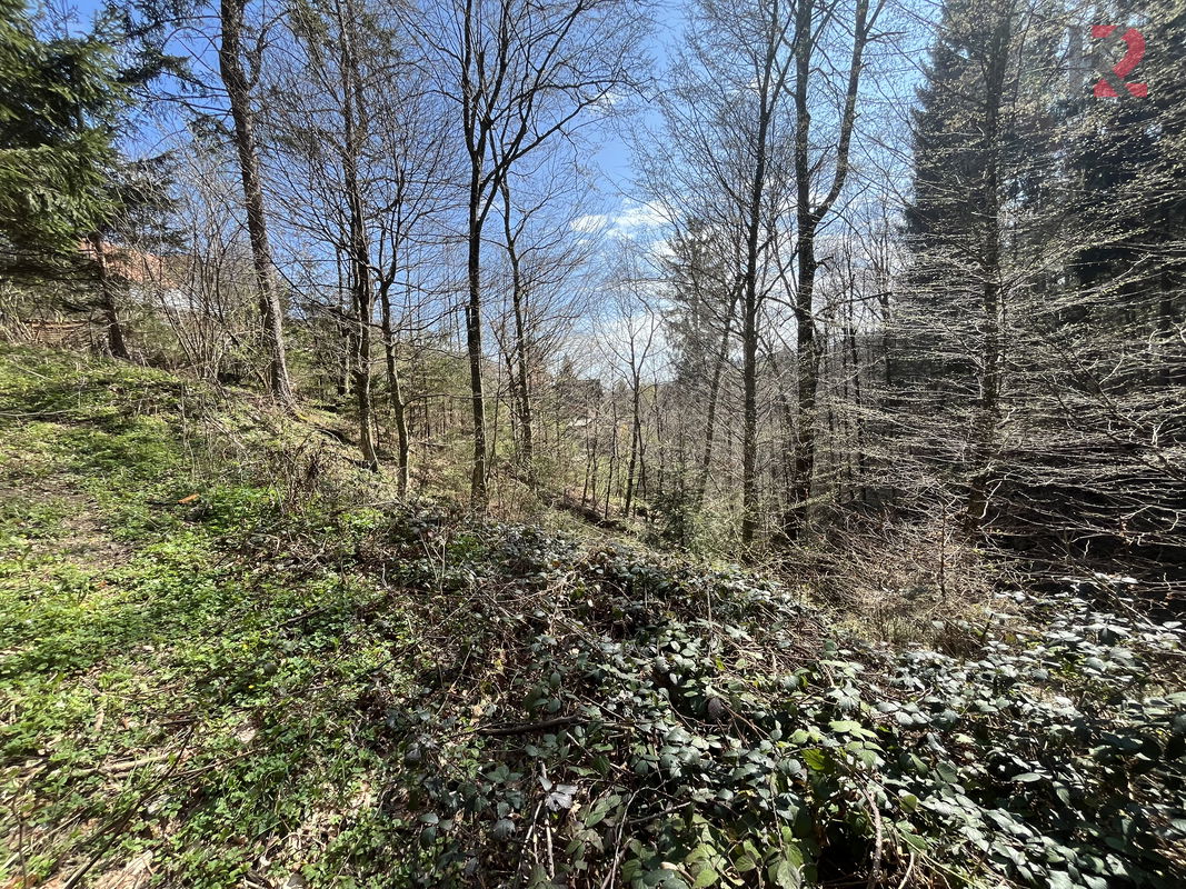 Lokacija: Podravska, Hoče - Slivnica, Slivniško pohorje