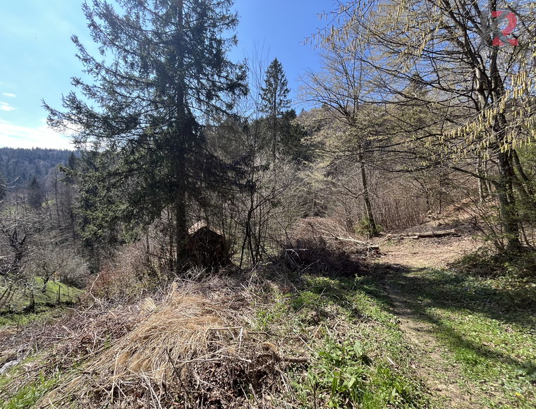 Lokacija: Podravska, Hoče - Slivnica, Slivniško pohorje