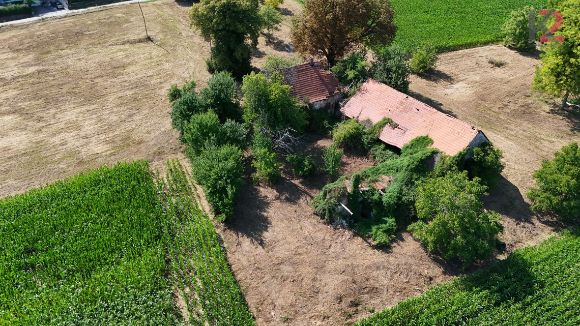 Lokacija: Pomurska, Ljutomer, Kuršinci