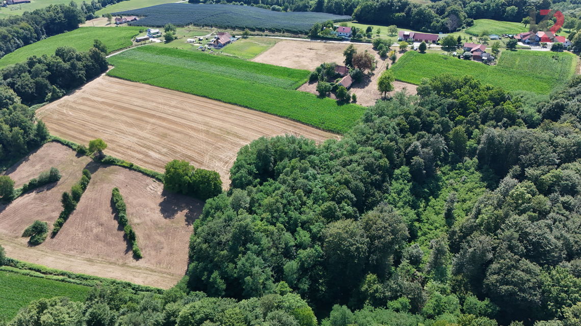 Lokacija: Pomurska, Ljutomer, Kuršinci