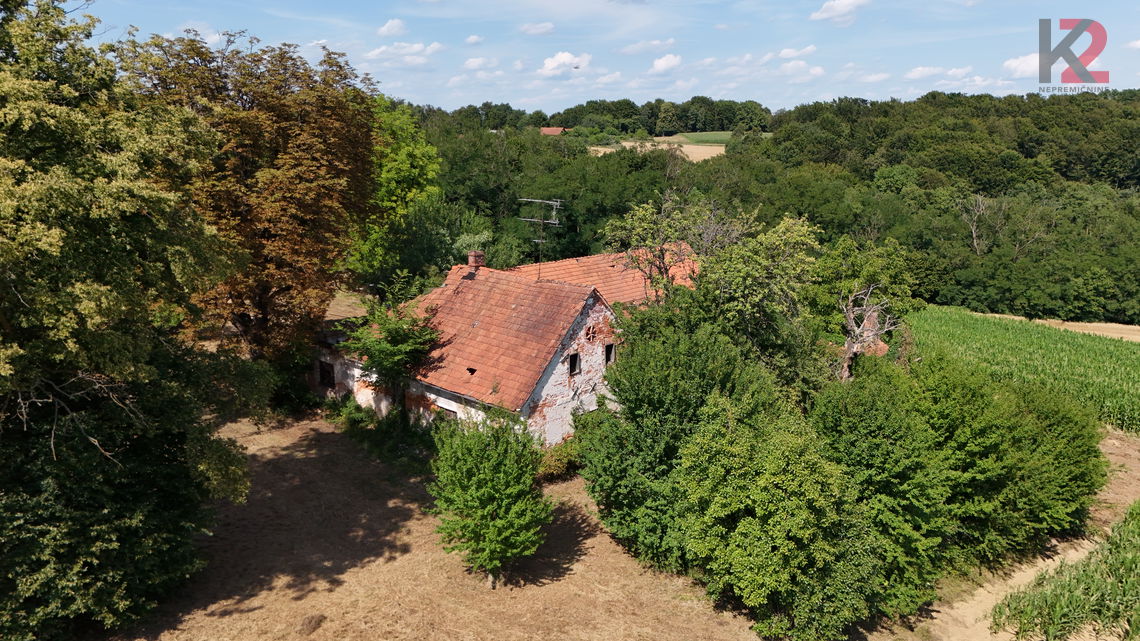 Lokacija: Pomurska, Ljutomer, Kuršinci