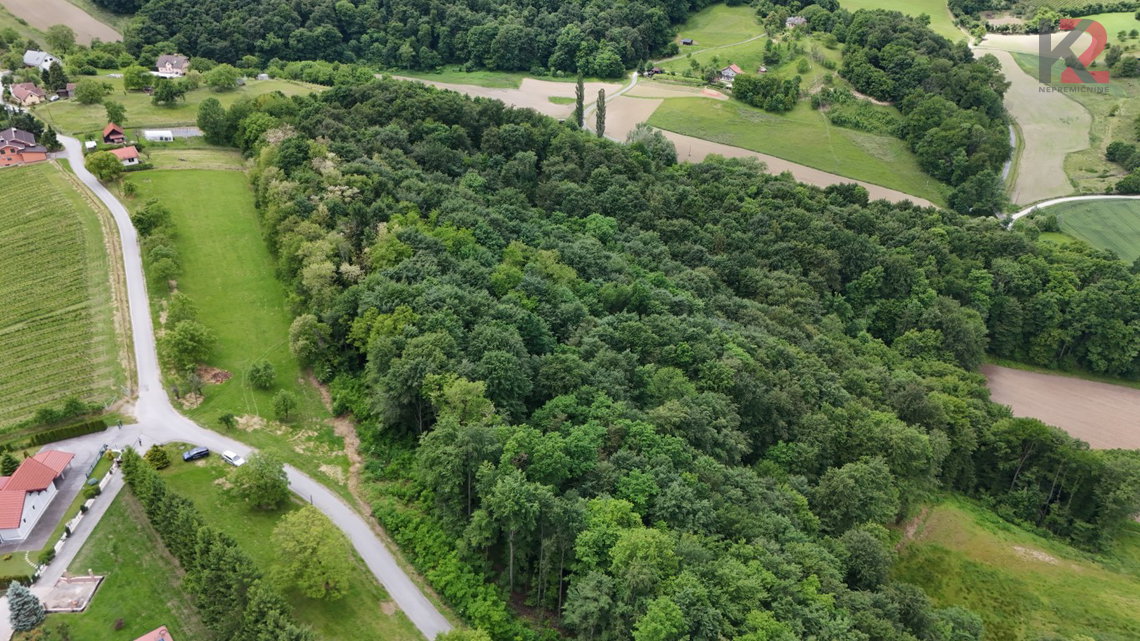 Lokacija: Podravska, Pesnica, Ložane