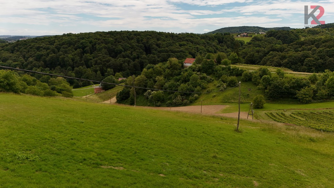 Lokacija: Podravska, Pesnica, Ložane