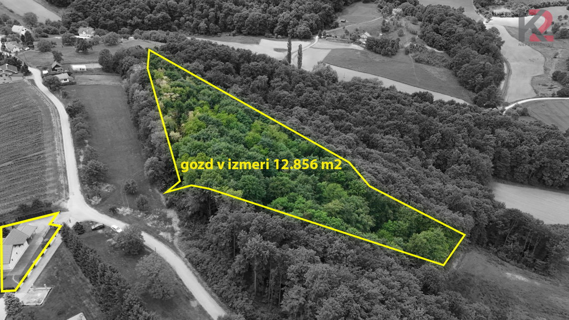 Lokacija: Podravska, Pesnica, Ložane