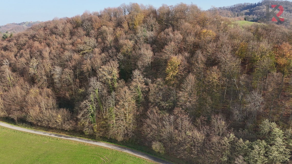 Lokacija: Podravska, Podlehnik, Stanošina
